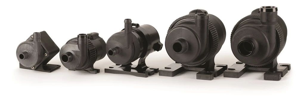 1631265293838745.jpg C.jpg