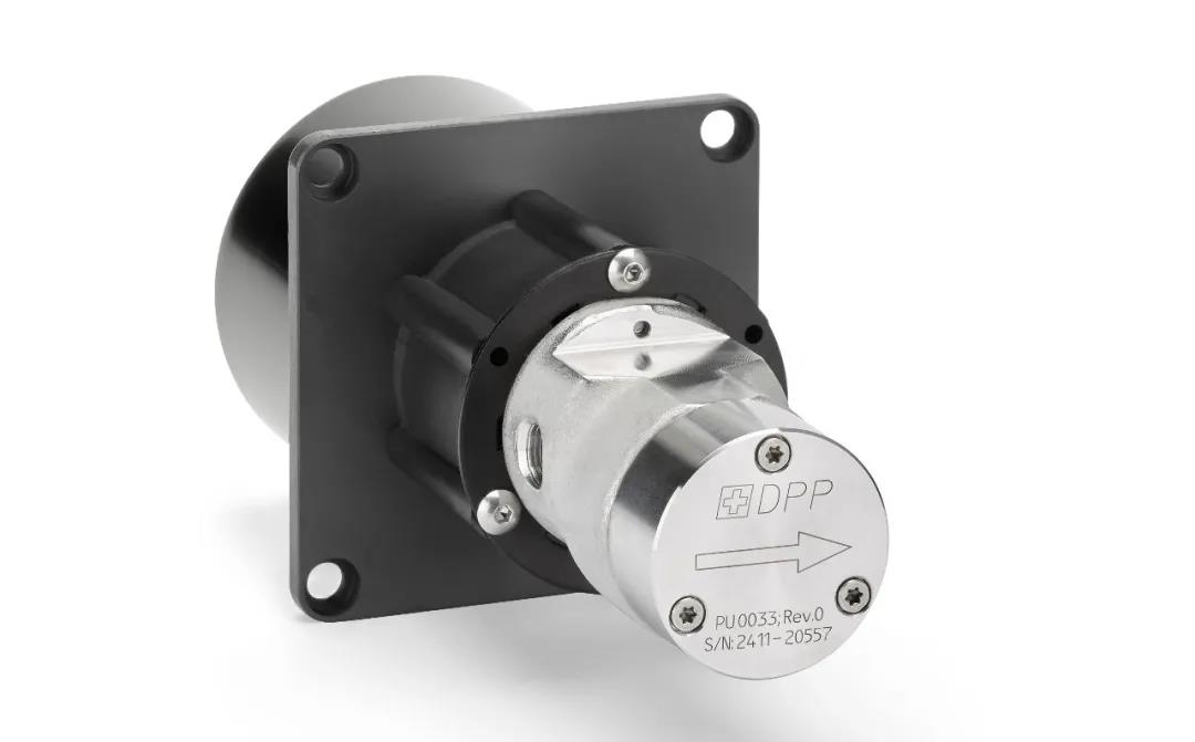 1631265356905696.jpg D.jpg