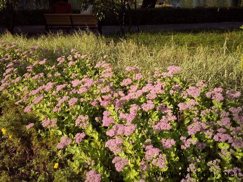 IP67(j)eȫܷC(j) p(l)ĿV9u(png)y(c) 