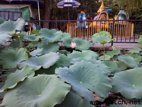 IP67(j)eȫܷC(j) p(l)ĿV9u(png)y(c) 