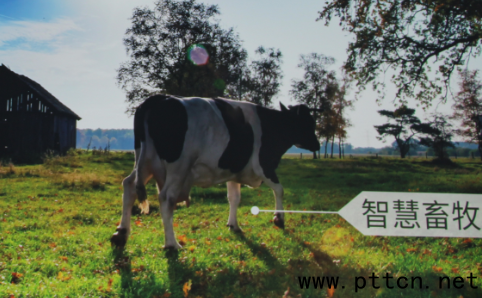 (lin)W(wng)oa(chn)I(y)޴CI(lng)󌢱q6